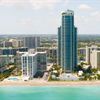 Ocean Palms